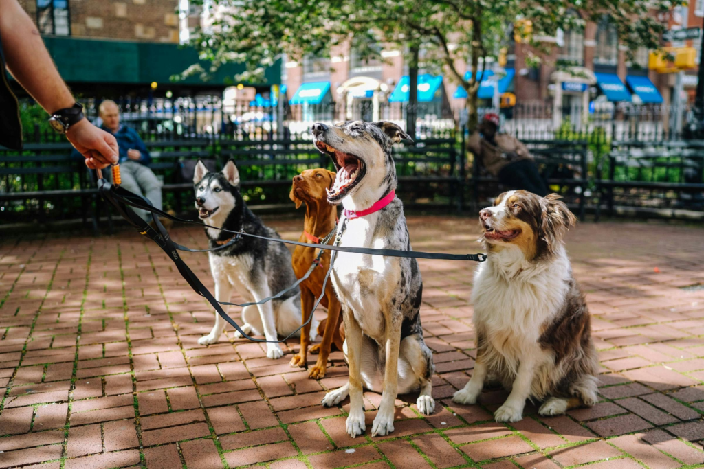 12 Best NYC Side Hustles to Make Extra Cash in the City That Never Sleeps